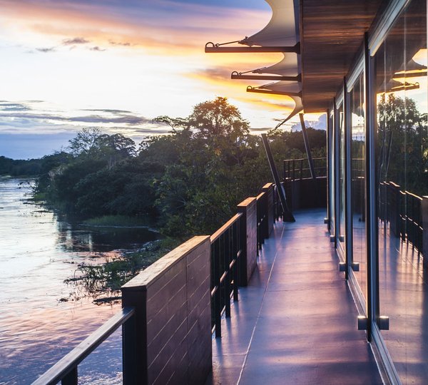 Aria Amazon Observation Deck