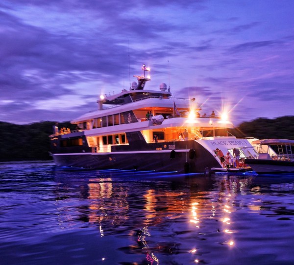 Black Pearl at night