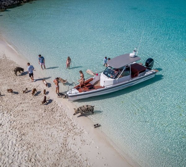 Blue Gryphon Yacht Charter Experience - Swimming With Pigs In The Bahamas