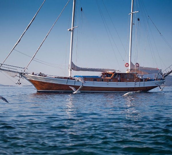 Bonaventura And Seagulls