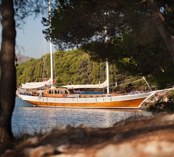 Bonaventura In A Bay