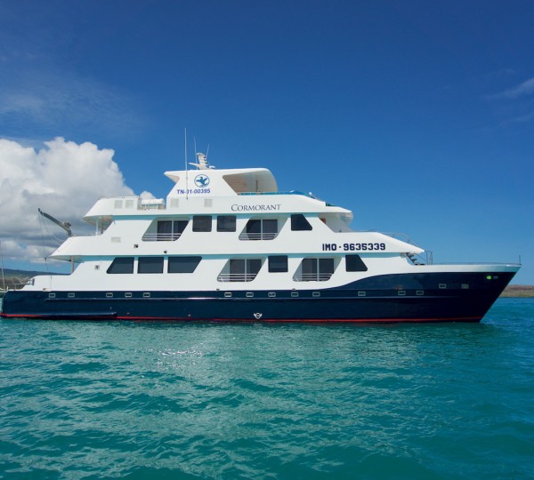 CORMORANT Luxury Catamaran