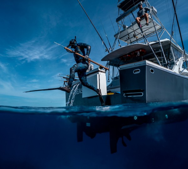 Charter Vacation Diving Adventures