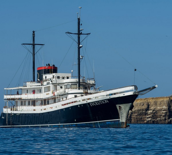 Classic Motor Yacht EVOLUTION