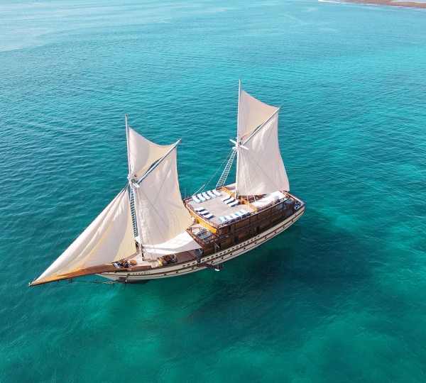 Cruising With Sails Up