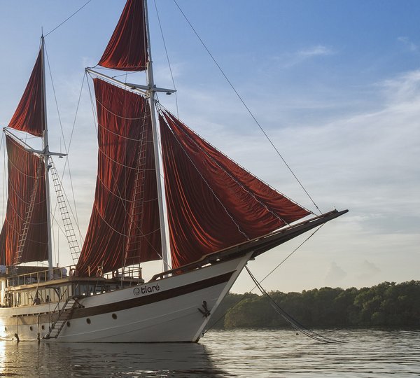 Custom Built TIARE - Main Shot