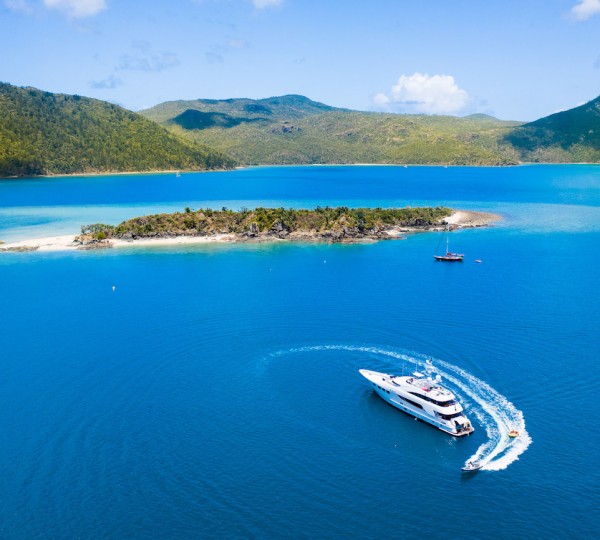 DE LISLE III - Profile