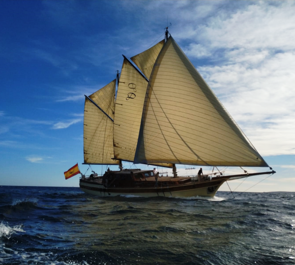 DIRDAM Exterior Profile