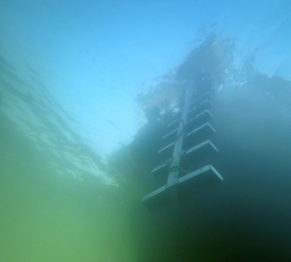 Dive Ladder
