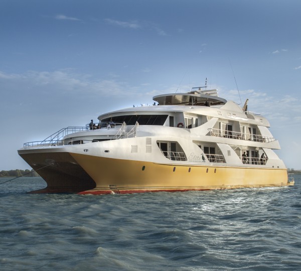 ELITE Catamaran Yacht