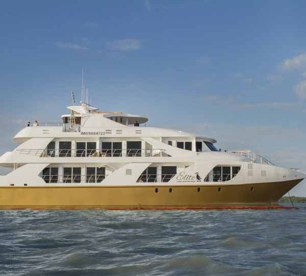 ELITE Yacht