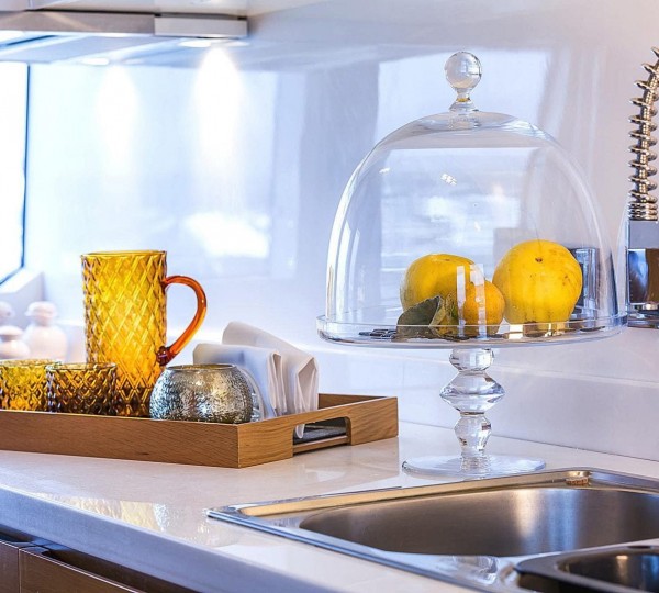 ENJOY Interior - Galley Details