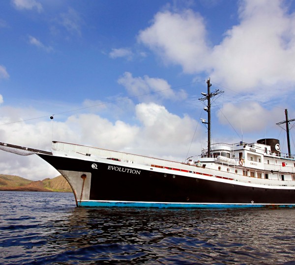 EVOLUTION Motor Yacht