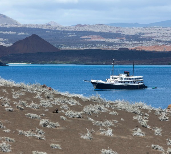 EVOLUTION Superyacht