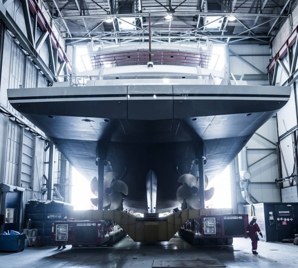 Emerging From The Shed