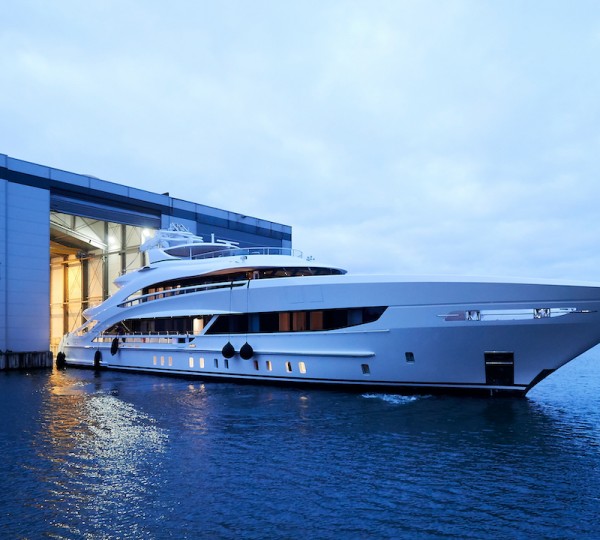 Emerging From The Shed