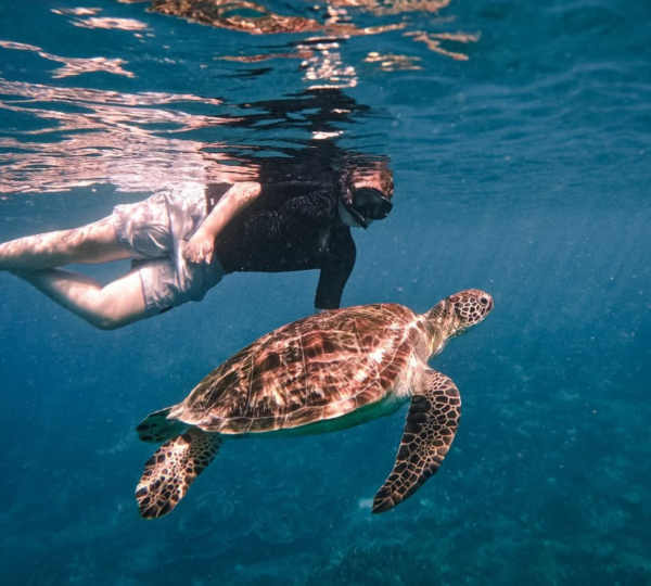 Exploring Underwater View