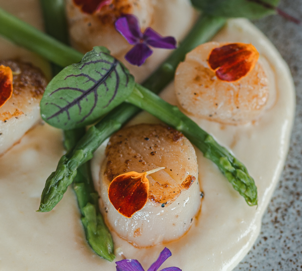 Fish Dishes