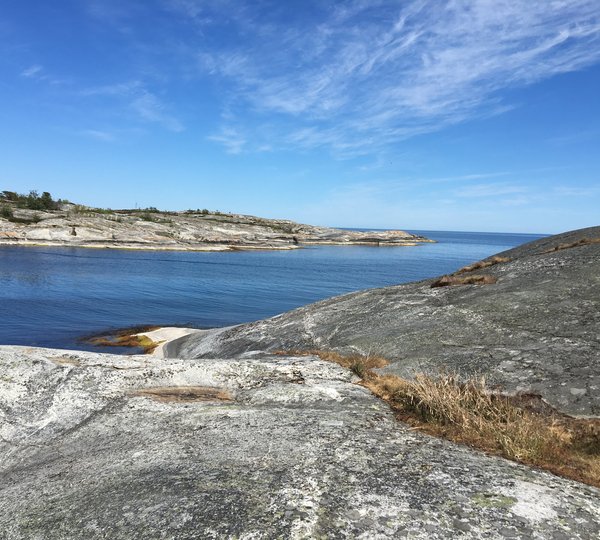 Ichiban Huvudskär B