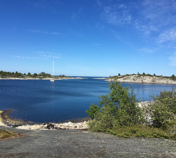 Ichiban Huvudskär G