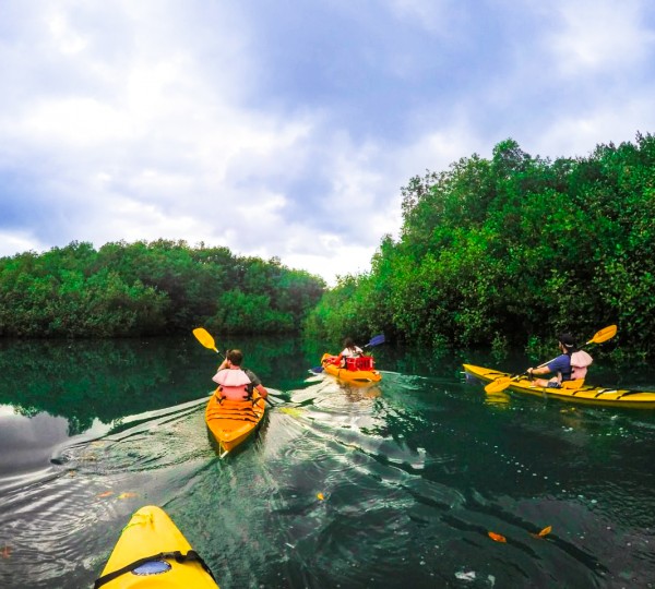 Kayak Osa Peninsula