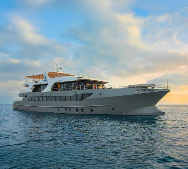 Luxury Superyacht TRIBUTE - FREDDY'S LEGACY