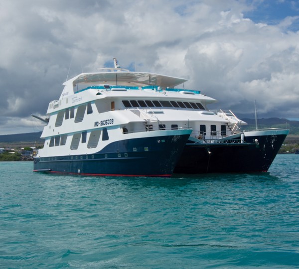 Luxury Cartamaran CORMORANT