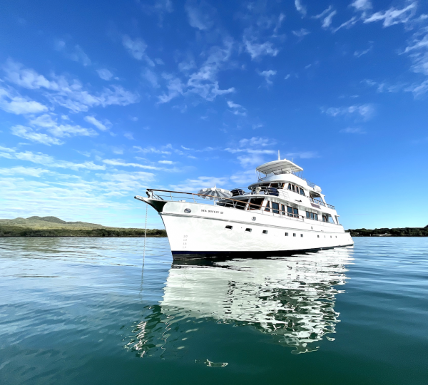 Luxury Charter Yacht SEA BREEZE III  