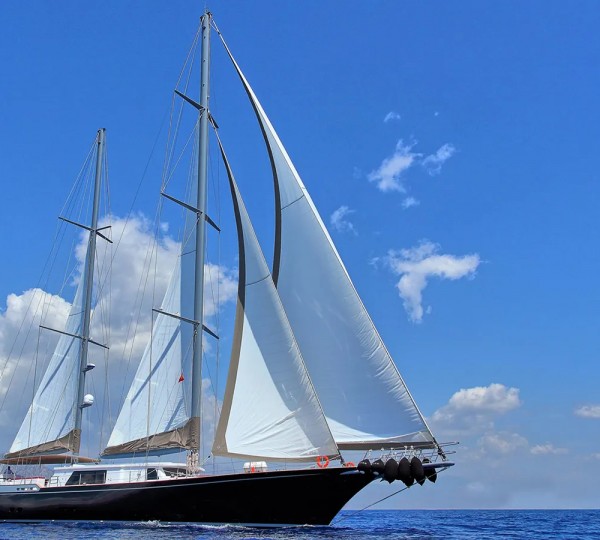 MOSS Sailing Yacht