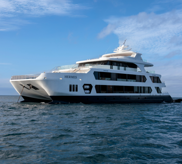 Motoryacht HERMES