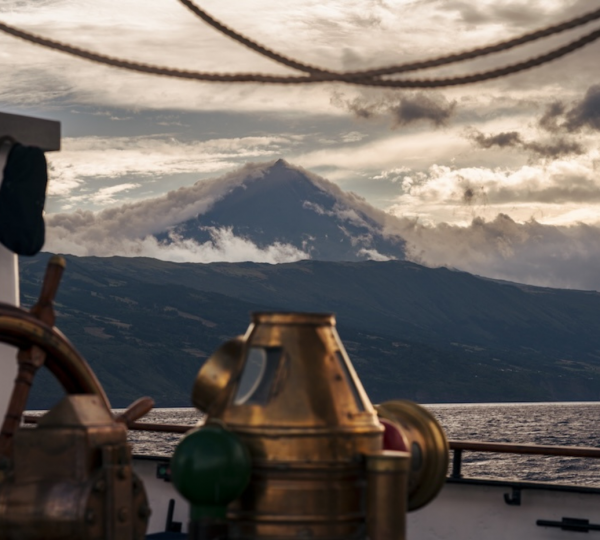 Nature View From Captain Areaa