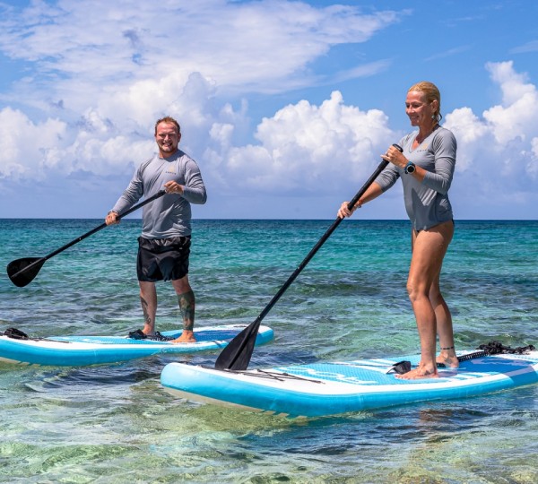 Paddle Boards