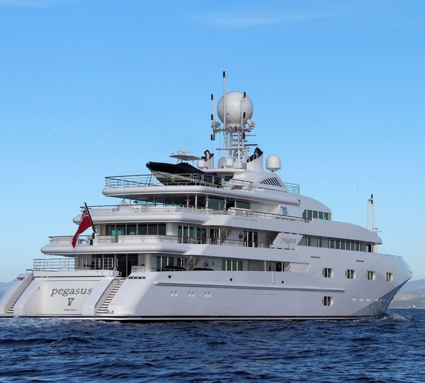 Pegasus VIII Royal Denship