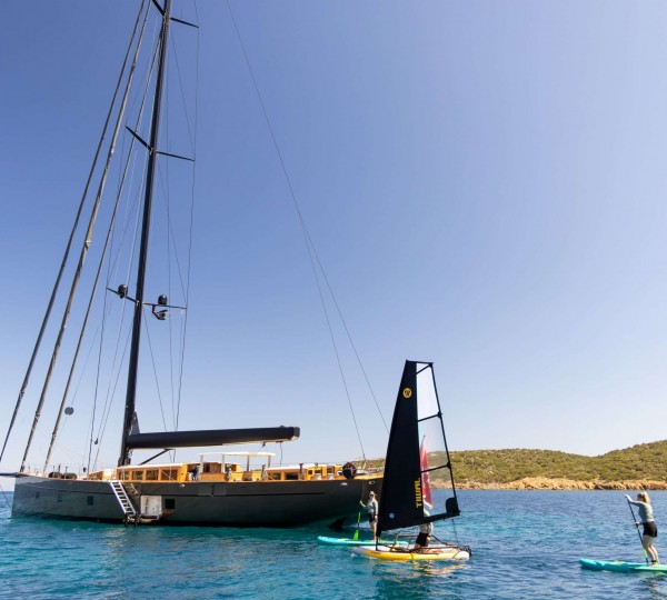 Perseverance 1 With Toys