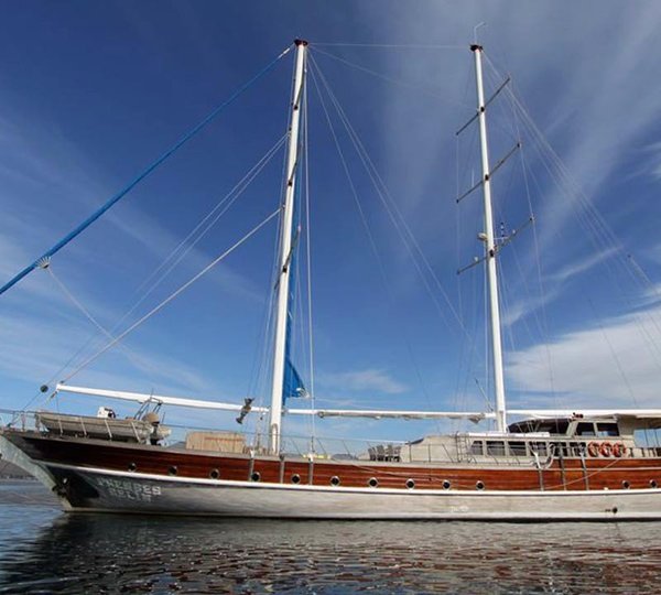 Prenses Selin Profile