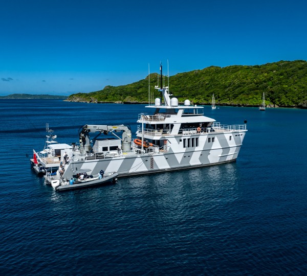 Profile Of Yacht THE BEAST