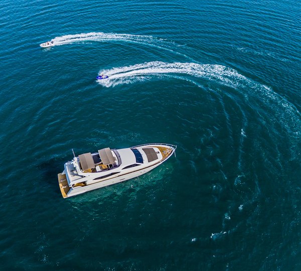 Quo Vadis With Toys Aerial