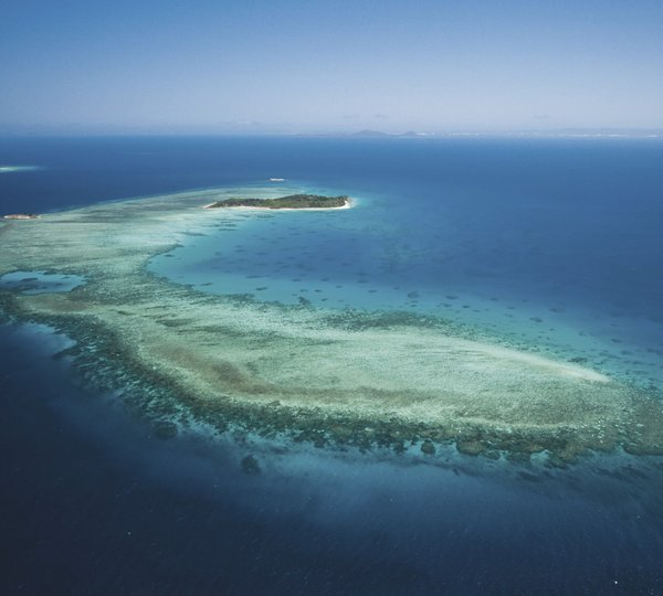 Ribbon Reef Great Barrier Reef QLD