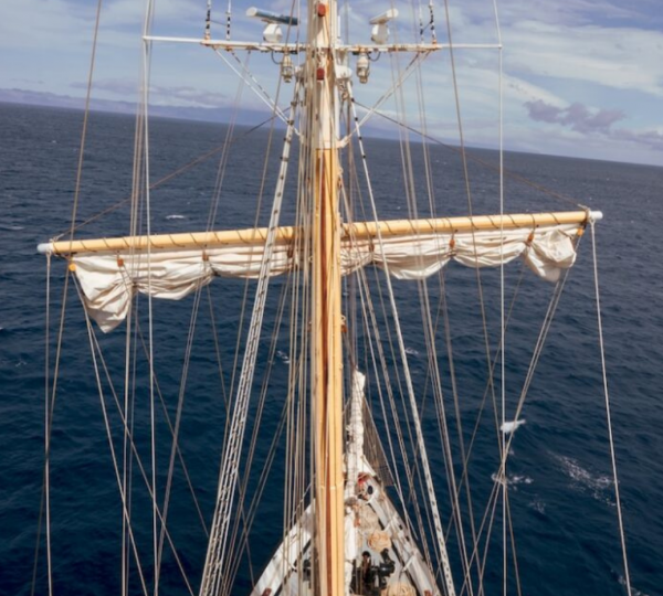 Rigging Area