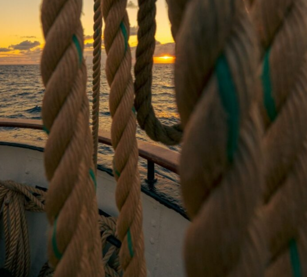 Ropes
