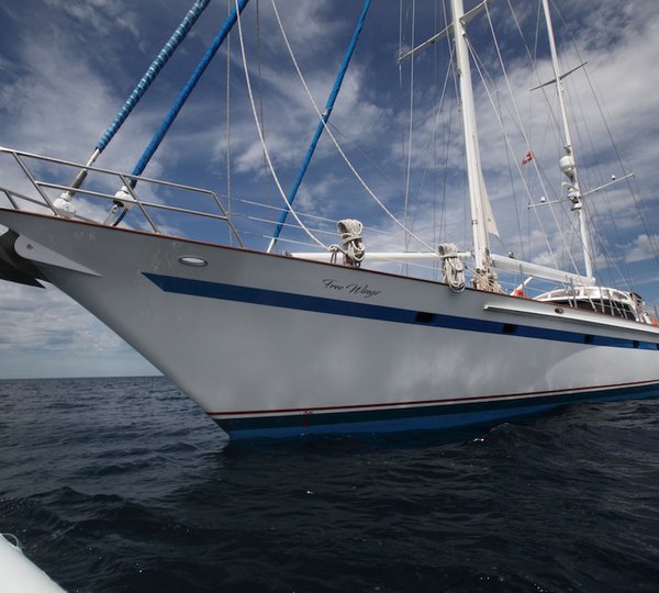 SY FREE WINGS - Bow Shot