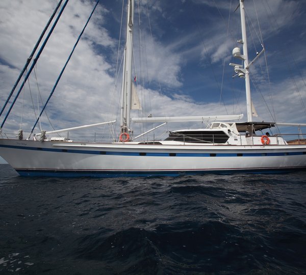 SY FREE WINGS - Profile Shot