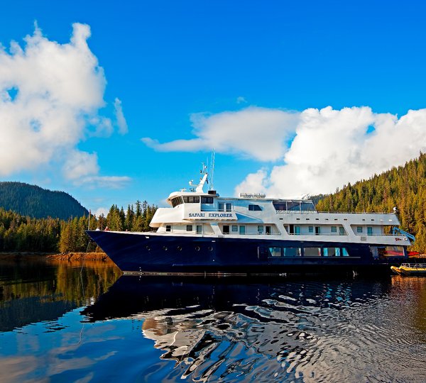 Safari Explorer - Main