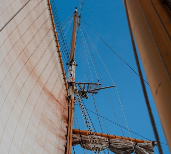Sail