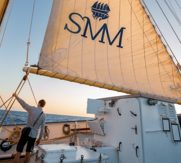 Sail