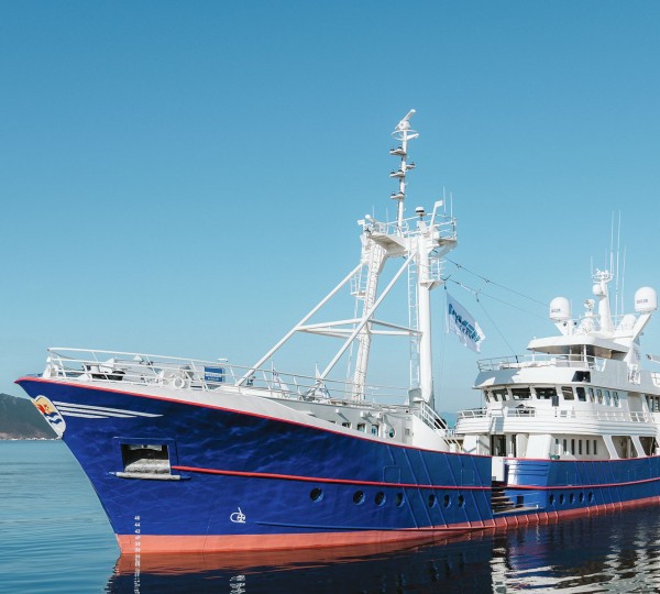 Scintilla Maris Yacht