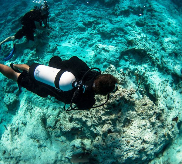 Scuba Diving