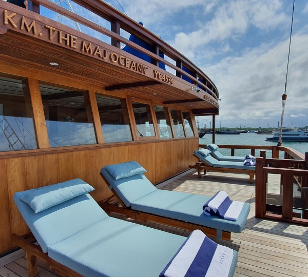 Seating Forward On Bridge Deck