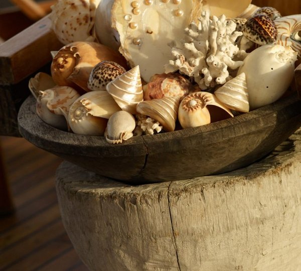 Silolona_indonesia_shells