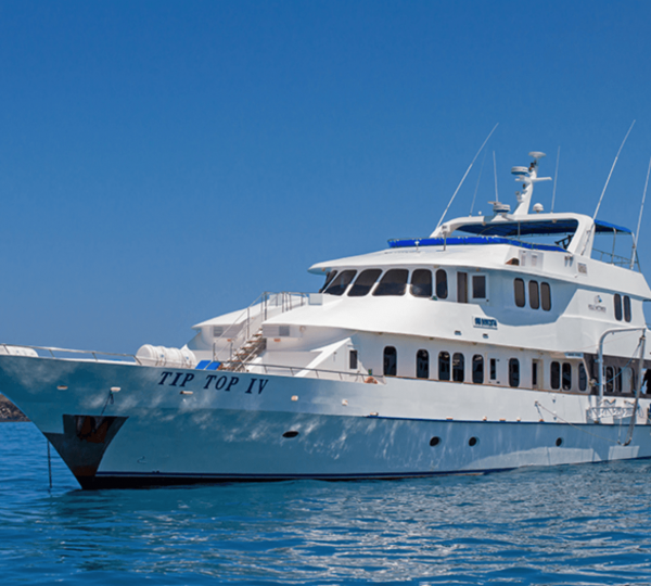 TIP TOP IV Motor Yacht